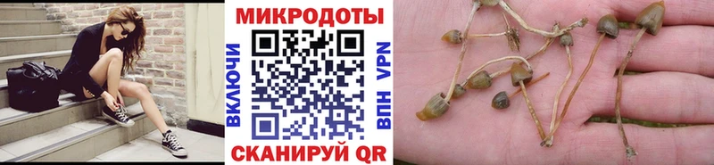 Купить где  Светлоград  Псилоцибиновые грибы Magic Shrooms 